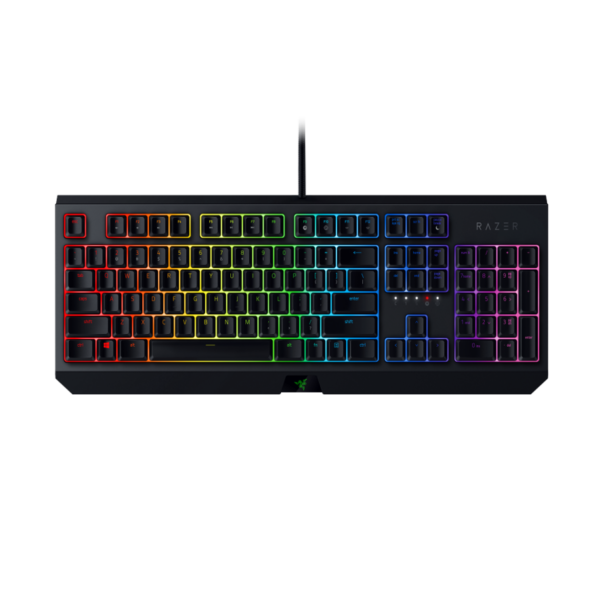 Razer BlackWidow Mechanical Gaming Keyboard: Various Models and Switch Options