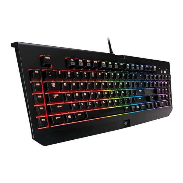 Razer BlackWidow Chroma RZ03-0122x: Clicky RGB Mechanical Gaming Keyboard - 5 Macro Keys Green Mechanical Switches (Tactile and Clicky) - Image 3